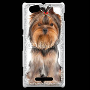 Coque Sony Xperia M Yorkshire Terrier