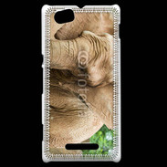 Coque Sony Xperia M Elephant d'Afrique
