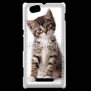Coque Sony Xperia M Chaton gris 3