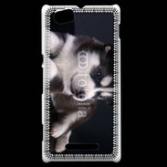 Coque Sony Xperia M Chiot Husky de Sibérie