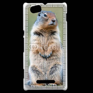 Coque Sony Xperia M Marmotte 2