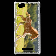 Coque Sony Xperia M Poulain dans un champs