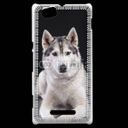Coque Sony Xperia M Chien Husky de Sibérie