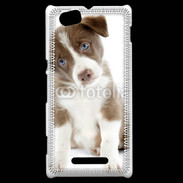 Coque Sony Xperia M Chiot Colley marron et blanc