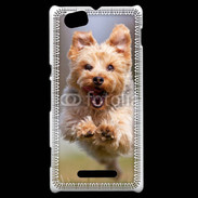 Coque Sony Xperia M Yorkshire terrier 6
