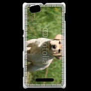 Coque Sony Xperia M Mignon petit labrador