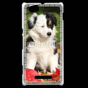 Coque Sony Xperia M Adorable chiot Border collie