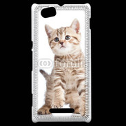 Coque Sony Xperia M Adorable chaton 7