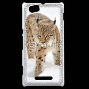 Coque Sony Xperia M Lynx des neiges