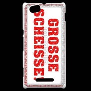 Coque Sony Xperia M Grosse M