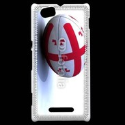 Coque Sony Xperia M Ballon de rugby Georgie