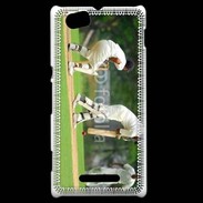 Coque Sony Xperia M Joueurs de cricket 1