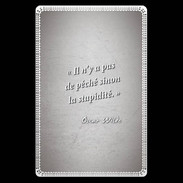 Etui carte bancaire Pêché stupidité Gris Citation Oscar Wilde
