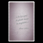 Etui carte bancaire Pêché stupidité Rose Citation Oscar Wilde