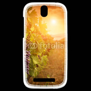 Coque HTC One SV Automne, vignes, couché de soleil