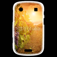 Coque Blackberry Bold 9900 Automne, vignes, couché de soleil