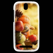 Coque HTC One SV fruits et légumes d'automne 2