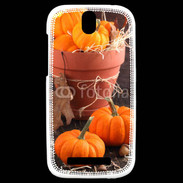 Coque HTC One SV Citrouilles 3