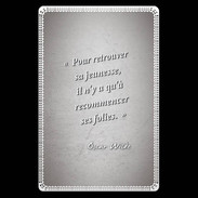 Etui carte bancaire Jeuness folie Gris Citation Oscar Wilde