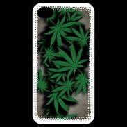 Coque iPhone 4 / iPhone 4S Feuilles de cannabis 50