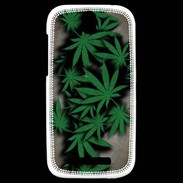 Coque HTC One SV Feuilles de cannabis 50
