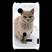 Coque Sony Xperia Typo Chat dans la neige