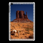 Coque iPadMini Monument Valley USA
