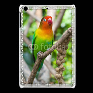 Coque iPadMini Oiseau Inséparable