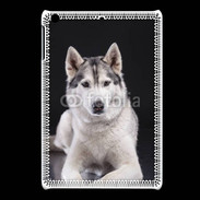 Coque iPadMini Chien Husky de Sibérie