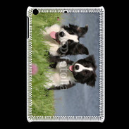 Coque iPadMini Chien Border Collie noir et blanc