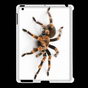 Coque iPad 2/3 Araignée tarentule