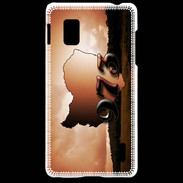 Coque LG Optimus G Guyane 973