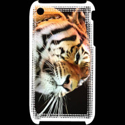 Coque iPhone 3G / 3GS Portrait de tigre PB 3