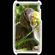 Coque iPhone 3G / 3GS Canard sauvage PB 1