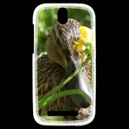 Coque HTC One SV Canard sauvage PB 1