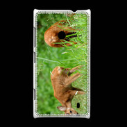 Coque Nokia Lumia 520 Chevreuil PB 1