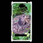 Coque HTC Windows Phone 8S Lapin sauvage PB 1
