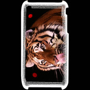 Coque iPhone 3G / 3GS Portrait de tigre PB 4
