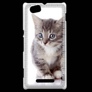 Coque Sony Xperia M chaton gris 4