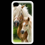 Coque iPhone 4 / iPhone 4S Cheval et poulain