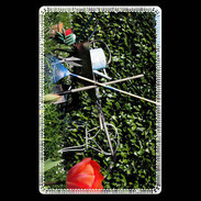 Etui carte bancaire DP ustensile de jardinage 