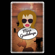 Etui carte bancaire Miss Guadeloupe Rousse