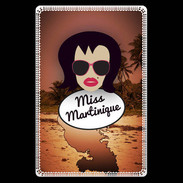 Etui carte bancaire Miss Martinique Brune
