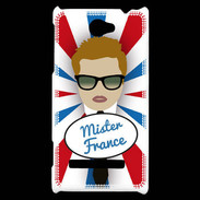 Coque HTC Windows Phone 8S Mister France Roux