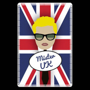 Etui carte bancaire Mister UK Blond