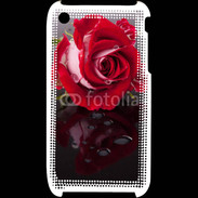 Coque iPhone 3G / 3GS Belle rose Rouge 10