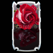 Coque Blackberry 8520 Belle rose Rouge 10