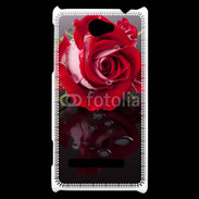Coque HTC Windows Phone 8S Belle rose Rouge 10