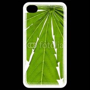 Coque iPhone 4 / iPhone 4S Feuille de cannabis 4