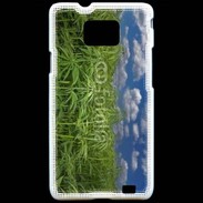 Coque Samsung Galaxy S2 Champs de cannabis